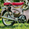 TÂN TRANG CUB 125