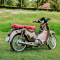 TÂN TRANG CUB 125