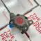 Heo 2 piston Brembo